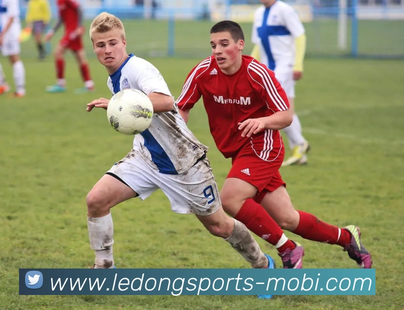 乐动体育APP 封面图